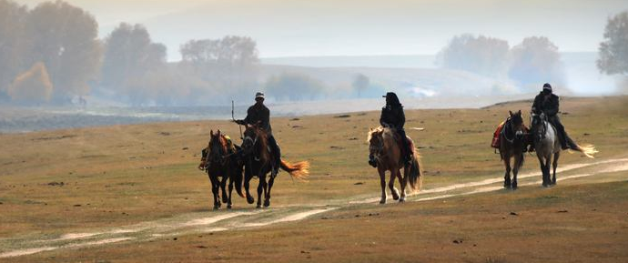 苦逼的seo之路，你來過又走了